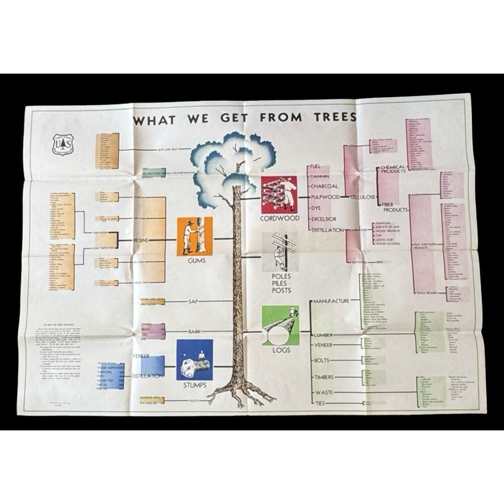 Vintage 1946 USDA Poster “What We Get From Trees” M-5293 Forest  Service 1st Ed